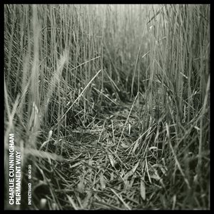 男的吃女的胸奶视频
