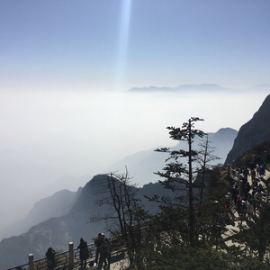 男的吃女的胸奶视频
